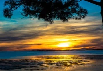 Coucher de soleil sur une étendue d’eau, sous les branches d’un arbre.